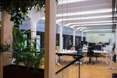 empty-office-with-pot-plant